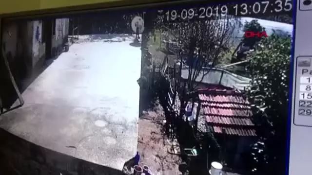 İki çuval fındık çalan 2 kişi tutuklandı