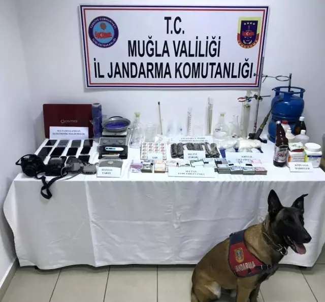 Kedi mamasında uyuşturucuya 3 tutuklama Kedi mamasında uyuşturucuya 3 tutuklama