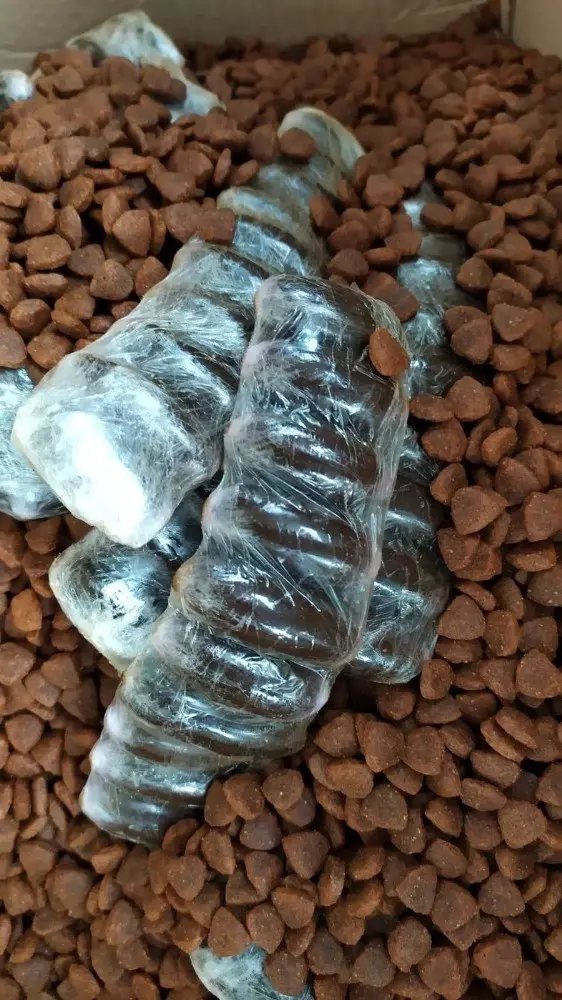 Kedi mamasında uyuşturucuya 3 tutuklama Kedi mamasında uyuşturucuya 3 tutuklama