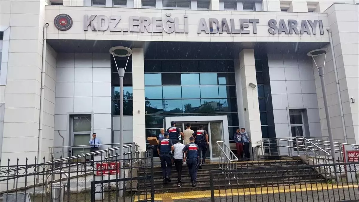 Zonguldak'ta fındık hırsızlığı iddiası