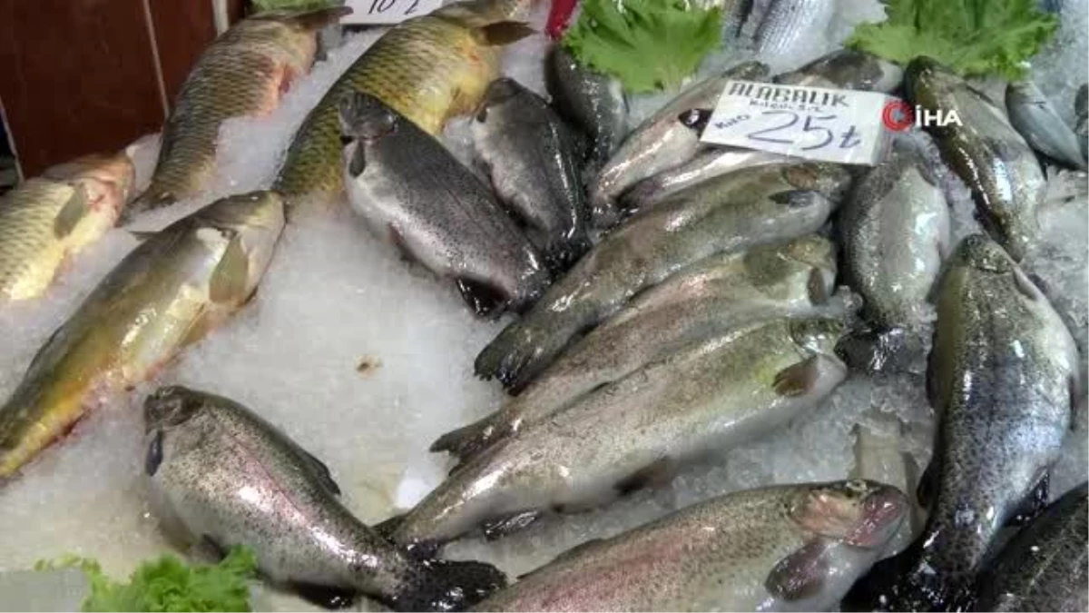 Balık fiyatları beyaz eti solladı Haberler