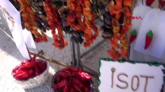 Şanlıurfa başkan beyazgül benden canımı iste ama isotumu isteme Şanlıurfa başkan beyazgül benden canımı iste ama isotumu isteme