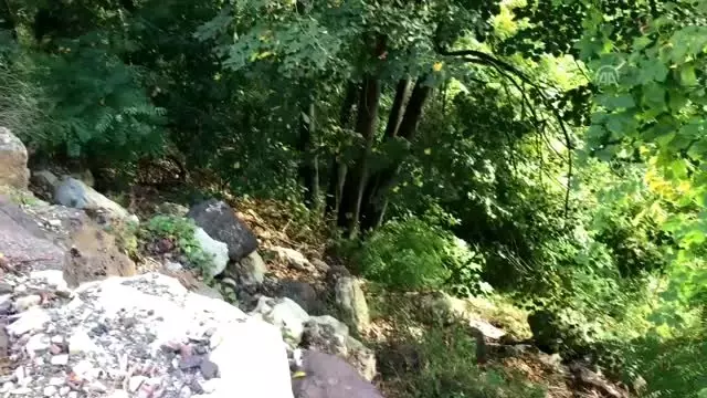 Yamaçtan düşen kadın kurtarıldı Yamaçtan düşen kadın kurtarıldı