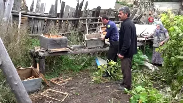 Kastamonulu köylüleri ayı korkusu sardı Kastamonulu köylüleri ayı korkusu sardı