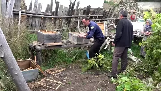 Kastamonulu köylüleri ayı korkusu sardı Kastamonulu köylüleri ayı korkusu sardı