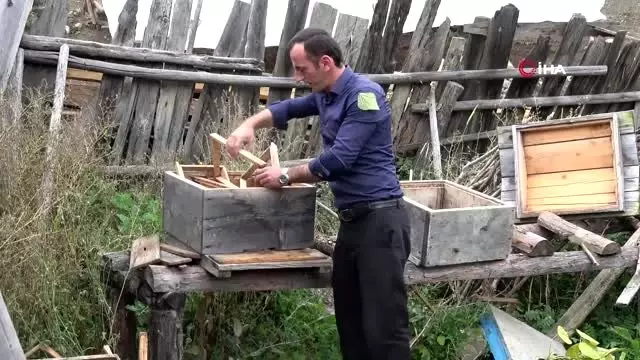 Kastamonulu köylüleri ayı korkusu sardı Kastamonulu köylüleri ayı korkusu sardı