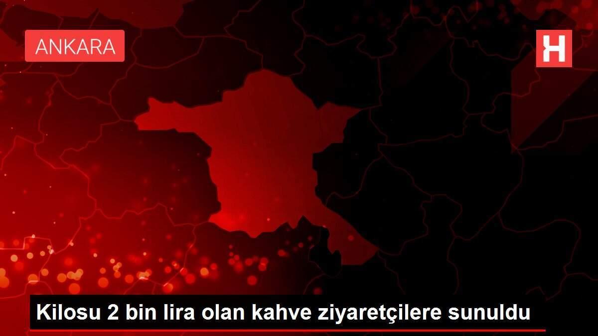 kahve kilosu