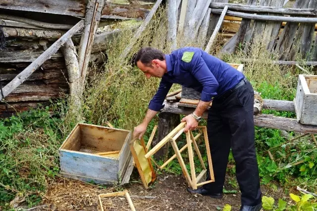(Özel) Kastamonu'yu ayı korkusu sardı (Özel) Kastamonu'yu ayı korkusu sardı