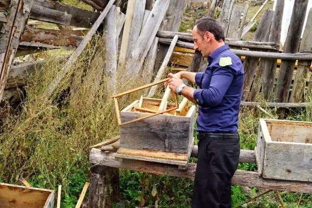 (Özel) Kastamonu'yu ayı korkusu sardı (Özel) Kastamonu'yu ayı korkusu sardı