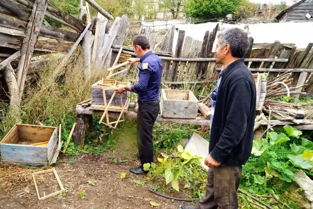 (Özel) Kastamonu'yu ayı korkusu sardı (Özel) Kastamonu'yu ayı korkusu sardı