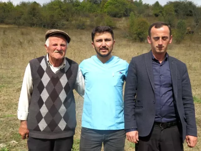 (Özel) Kastamonu'yu ayı korkusu sardı (Özel) Kastamonu'yu ayı korkusu sardı