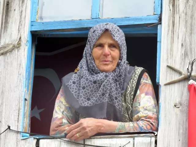 (Özel) Kastamonu'yu ayı korkusu sardı (Özel) Kastamonu'yu ayı korkusu sardı