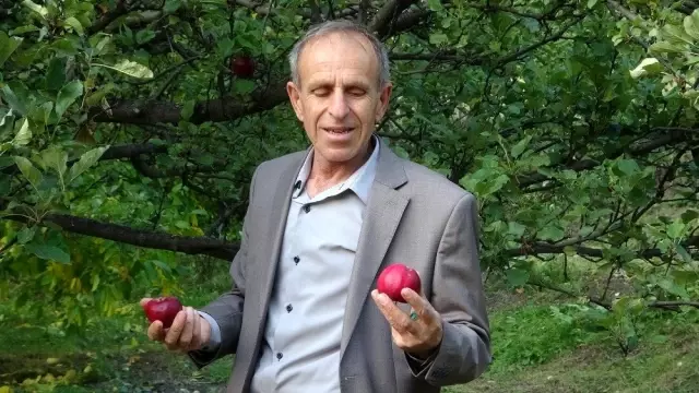 Posof'un içi dışı kırmızı elması tescillendi Posof'un içi dışı kırmızı elması tescillendi