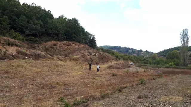 Binlerce fidanın takibi yapılıyor Binlerce fidanın takibi yapılıyor