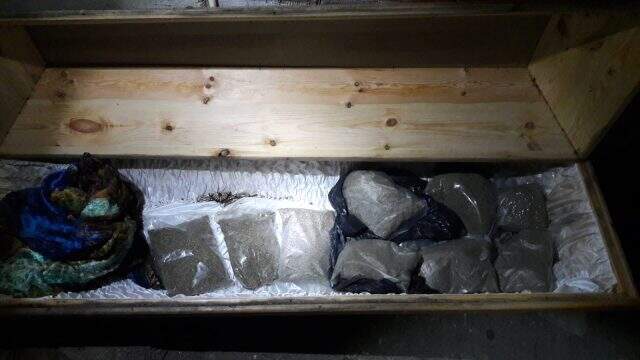 Sakarya'da tabutunun içinden bonzai çıktı