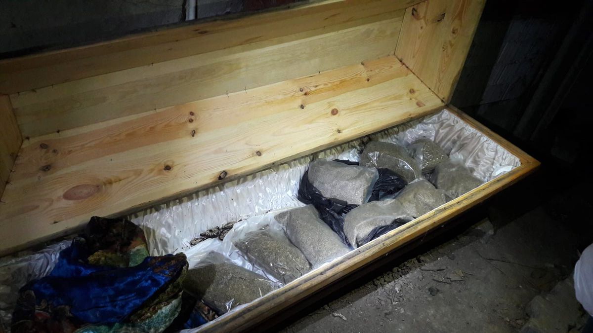 Sakarya'da tabutun içinden bonzai çıktı