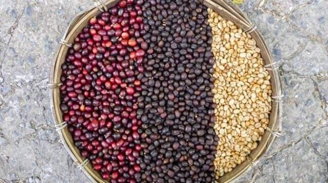 1 Ekim Uluslararası Kahve Günü! Dünya Kahve Günü nedir?