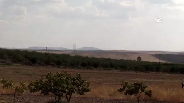 GAP çiftçisinin bademe ilgisi artıyor GAP çiftçisinin bademe ilgisi artıyor