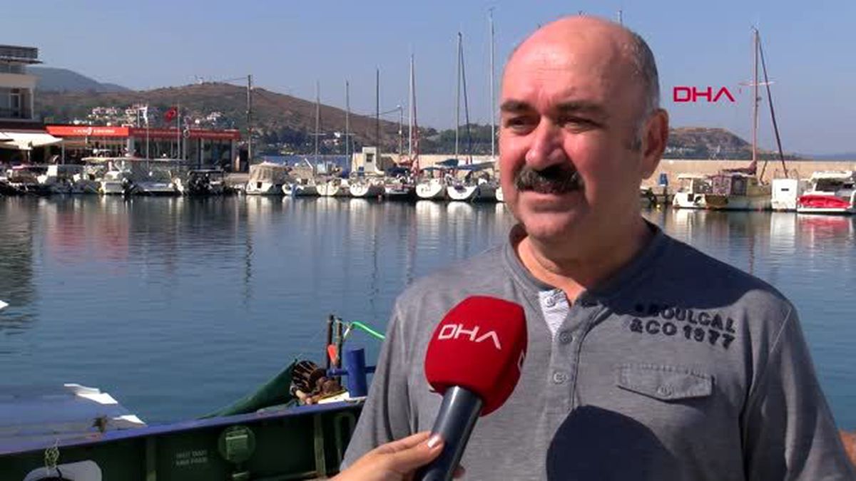 İzmir alaçatı açıklarında balina heyecanı