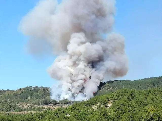 Bilecik'te makilik alanda yangın