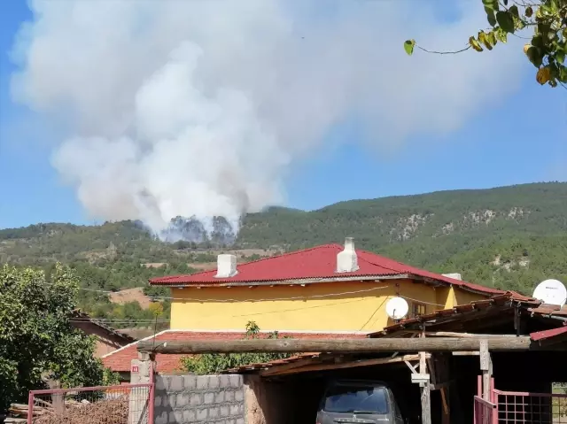 Bilecik'te makilik alanda yangın Bilecik'te makilik alanda yangın
