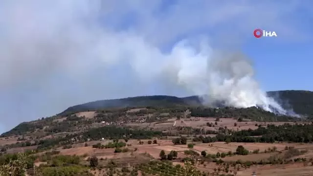 Bilecik’te orman yangını