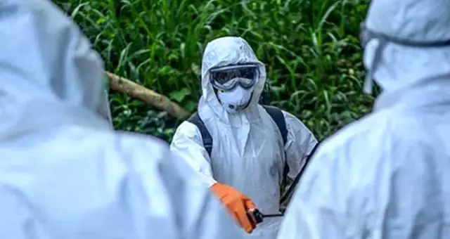 Denizli'de kuduz karantinası: 15 mahalleye giriş çıkış yasaklandı Denizli'de kuduz karantinası: 15 mahalleye giriş çıkış yasaklandı