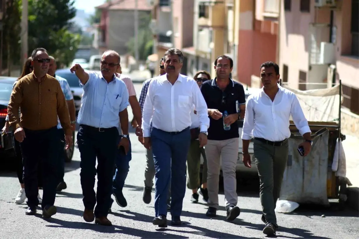 Doğançay'a Şirince modeli