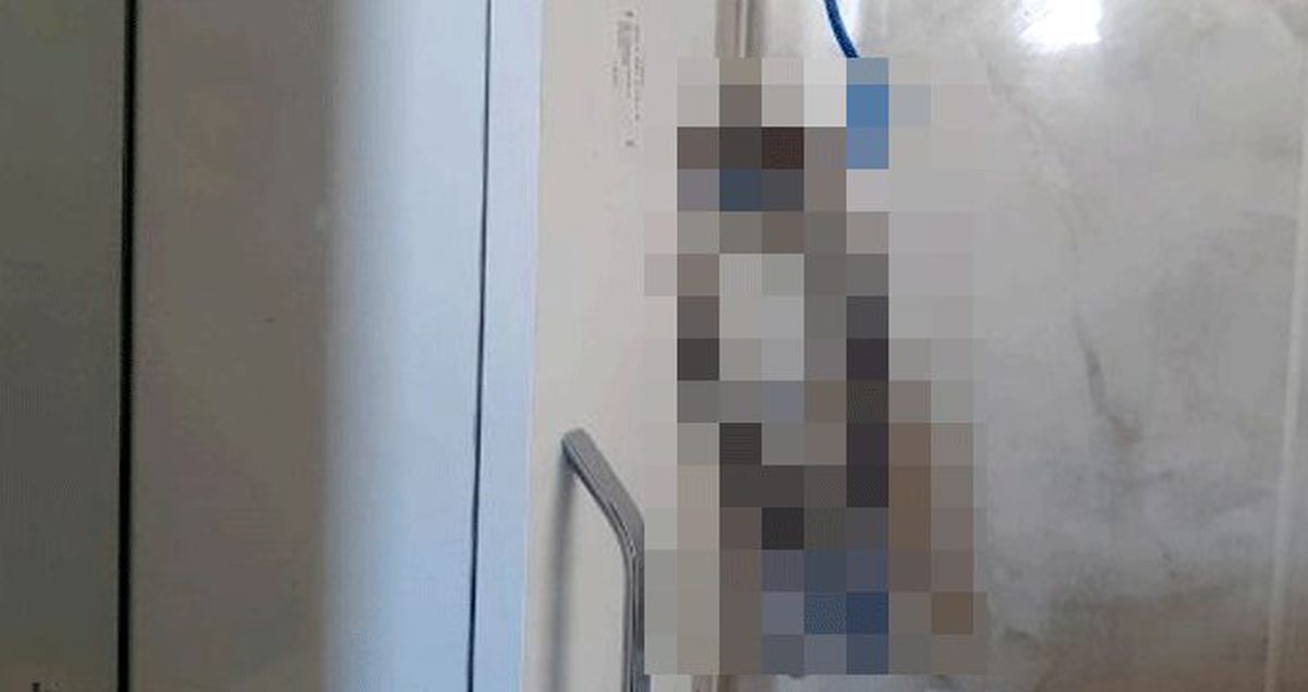 Eve giren serçeyi elektrik teli ile boynundan astılar!