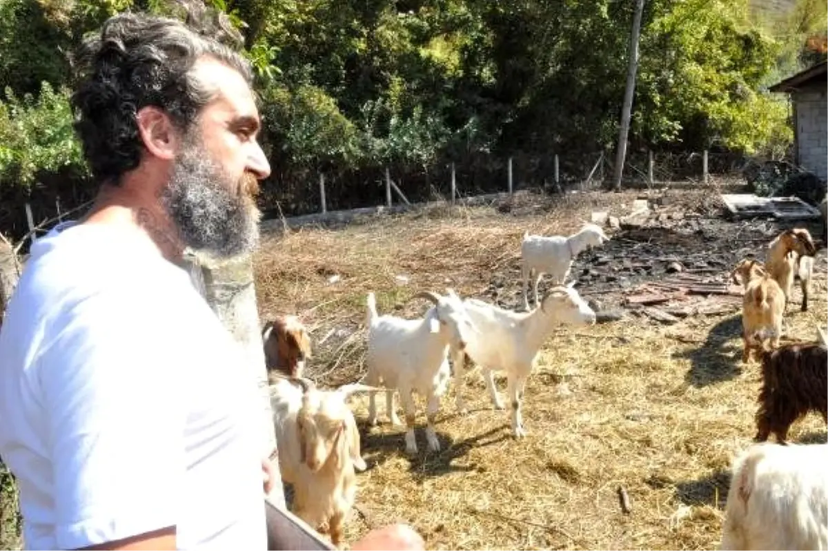 Karadeniz'in iki üniversite mezunu 'mandıra filozofu'