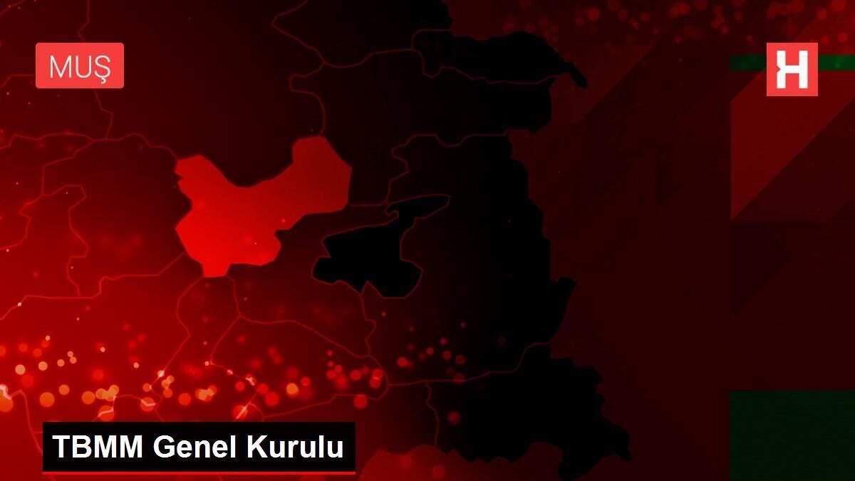 TBMM Genel Kurulu TBMM Genel Kurulu