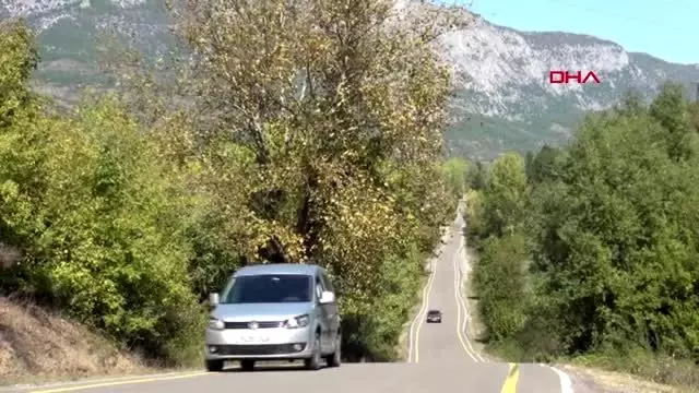 Bartın küre dağları milli parkı'nda sonbahar güzelliği Bartın küre dağları milli parkı'nda sonbahar güzelliği