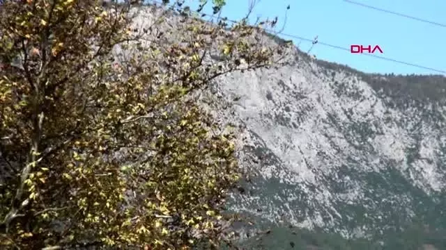 Bartın küre dağları milli parkı'nda sonbahar güzelliği Bartın küre dağları milli parkı'nda sonbahar güzelliği