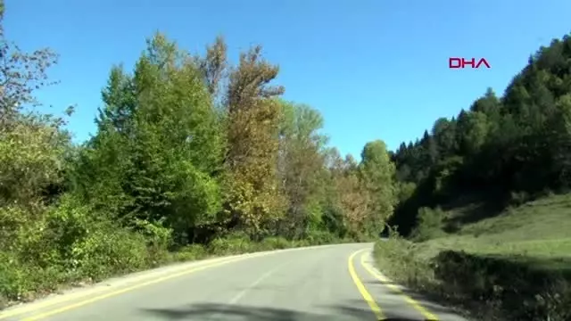 Bartın küre dağları milli parkı'nda sonbahar güzelliği Bartın küre dağları milli parkı'nda sonbahar güzelliği