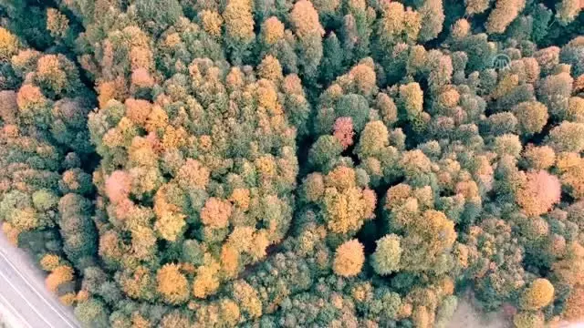 Domaniç Dağları'nda sonbaharın ilk renkleri Domaniç Dağları'nda sonbaharın ilk renkleri