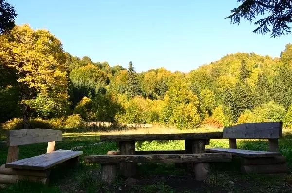 Küre dağları milli parkı'nda sonbahar güzelliği Küre dağları milli parkı'nda sonbahar güzelliği