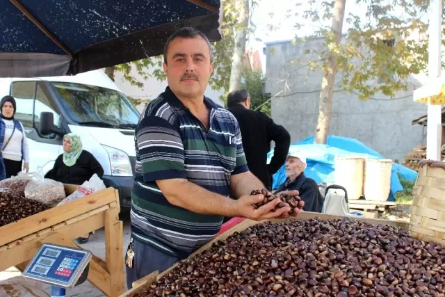 Sinop'ta kestane pazara indi Sinop'ta kestane pazara indi