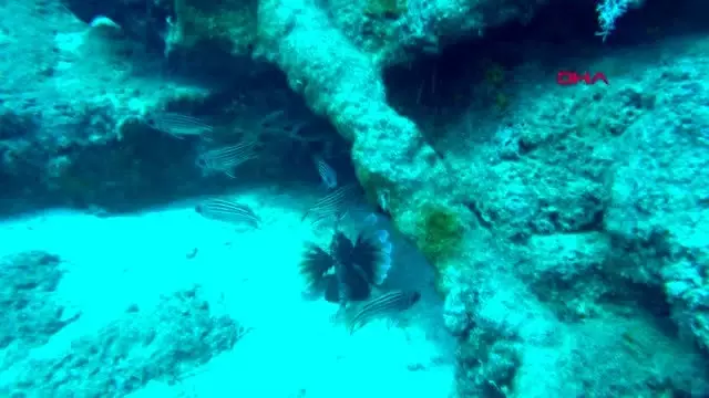 Antalya'da ortalama 2 bin yıllık 27 gemi batığı bulundu Antalya'da ortalama 2 bin yıllık 27 gemi batığı bulundu
