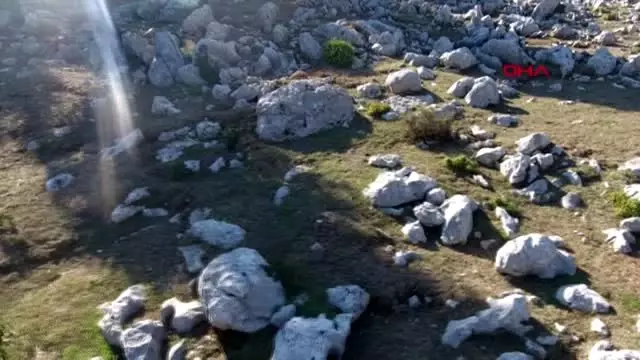Kahramanmaraş sırtlarında 4 kilometre taşıdıkları defneler, abd'ye ihraç ediliyor - Kahramanmaraş sırtlarında 4 kilometre taşıdıkları defneler, abd'ye ihraç ediliyor -