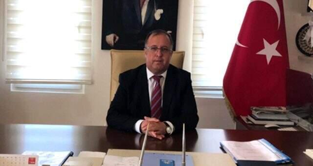 Kaz Dağları'nda villa yapımı için 2.5 milyon zeytin ağacının kesildiği ortaya çıktı