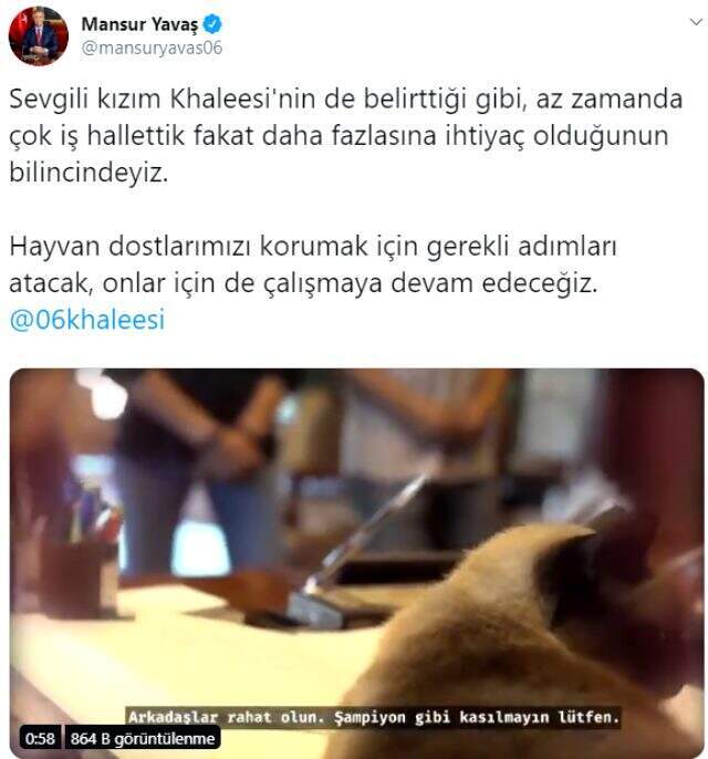Mansur Yavaş'tan kedisi Khaleesi ile birlikte eğlenceli video