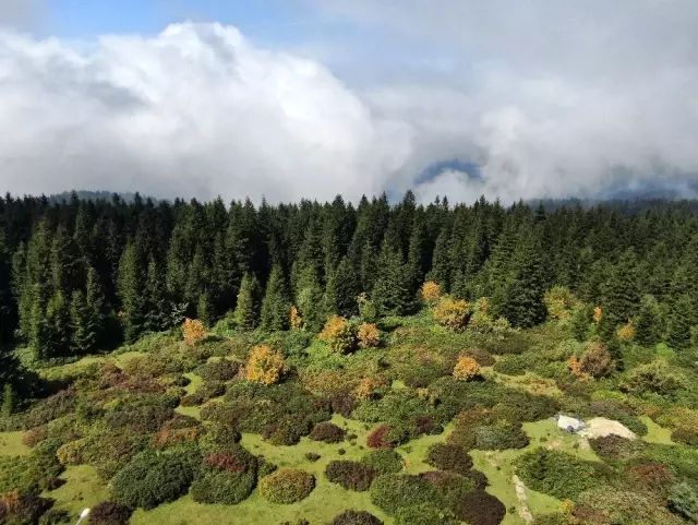 Mavigöl ve Tabiat Parkları Giresun turizmini sırtladı
