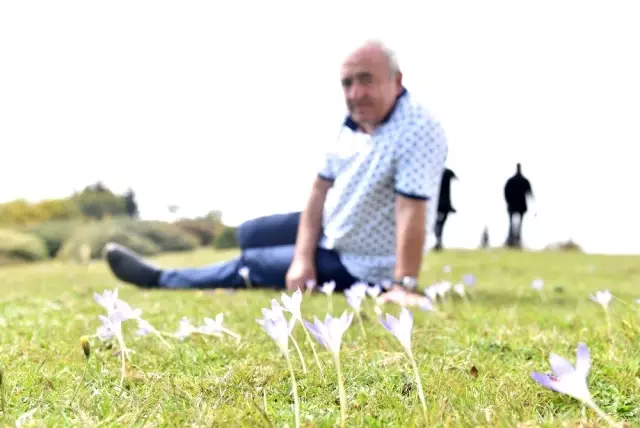 Mavigöl ve Tabiat Parkları Giresun turizmini sırtladı