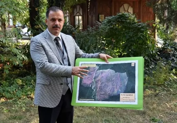 Ormana zarar veren tırtıllarla mücadelede, predator böcekler kullanılacak