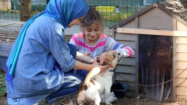 (Özel) Küçük yaşta eğitim, hayvan sevgisini gelecek nesillere aşılıyor (Özel) Küçük yaşta eğitim, hayvan sevgisini gelecek nesillere aşılıyor