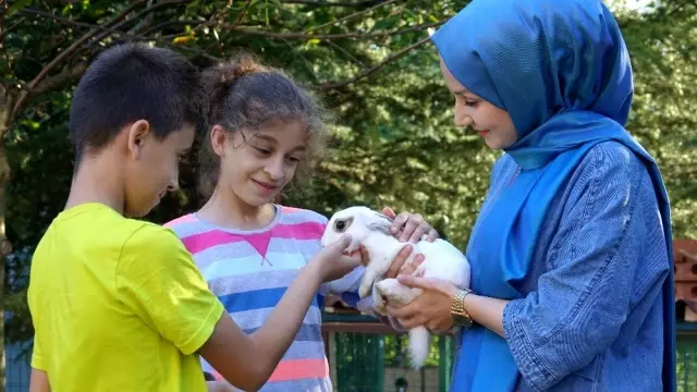 (Özel) Küçük yaşta eğitim, hayvan sevgisini gelecek nesillere aşılıyor (Özel) Küçük yaşta eğitim, hayvan sevgisini gelecek nesillere aşılıyor