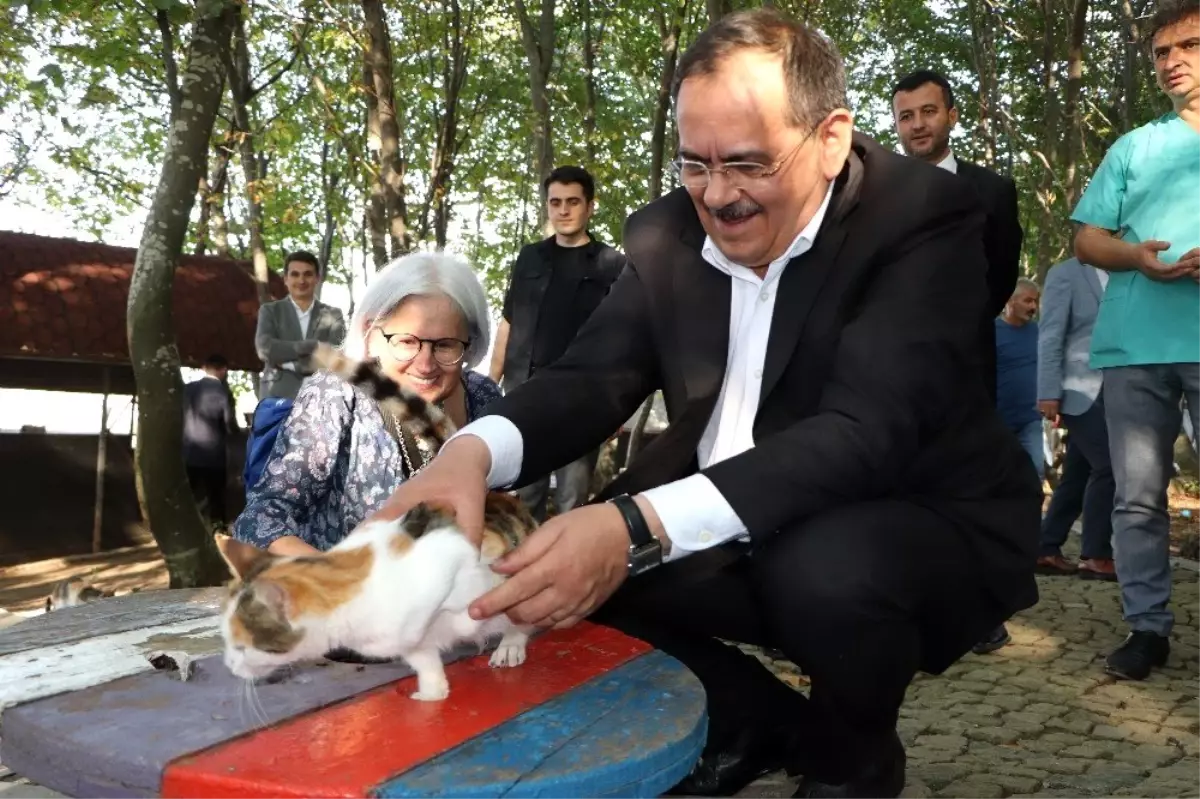Samsun Hayvanat Bahcesi Nasil Gidilir Ziyaret Saatleri Giris Ucreti Gezilecek Yerler