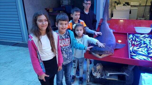 2 metrelik köpek balığını dükkanında sergiliyor