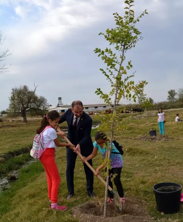 Bin fidan toprakla buluştu