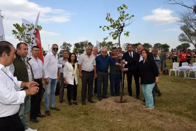 Bin fidan toprakla buluştu